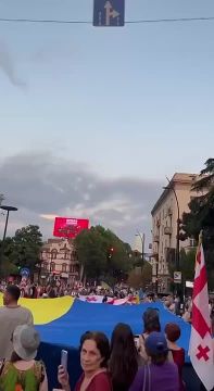 Вспомнили погибших. о субботнем митинге в Тбилиси
