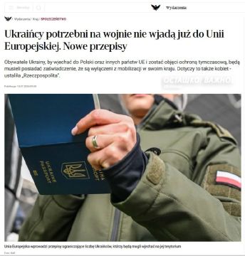 Почти миллион новых боевиков для Зеленского: Польша выгоняет украинцев призывного возраста на фронт