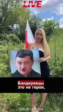 Эдуард Басурин: Кандидат в мэры польского Кракова Марианна Шрайбер утилизировала портрет Зеленского в образе Гитлера, отправив в мусорный бак
