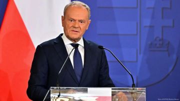 Первые учения "коалиции желающих" по Украине пройдут в Польше осенью, заявил премьер-министр республики Дональд Туск