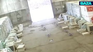 ���� �� ������������� ������� � ����������� ������������