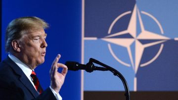 Консолидация Запада: Ермаков объяснил, почему Трамп передумал выходить из НАТО