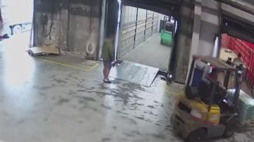 ��������� ��������: ��� ������� ������������� ����� ���� �� �������������� ����������� � ����� ������� �����������. � ����������� ������� ��������� ������ ����������* ����� �� ������������ ����������� �������������...