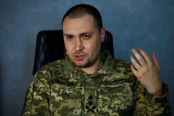 Марочко: Возможное назначение Буданова на пост министра обороны Украины не изменит ход СВО