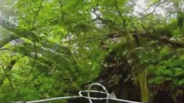 ��������� ���: ��������� ������ �������� ��������
