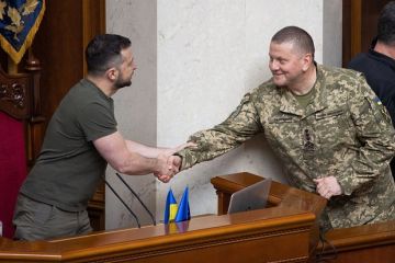 Экс-премьер Азаров: У Зеленского есть интерес в вопросе устранения спонсоров Залужного