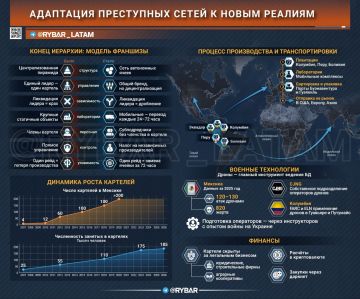 Эволюция гидры. Как картели стали высокотехнологичными франшизами