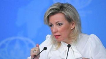 "Клоуны, запутавшиеся в своих собственных и чужих гениталиях"
