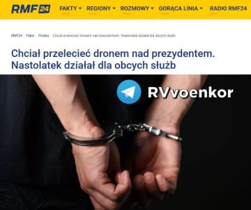 Евгений Лисицын: В Польше украинца обвинили в попытке запуска дрона возле кортежа президента и провокациях с символикой УПА*