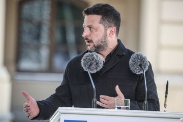 Tages Anzeiger: Зеленский проявил трусость, уволив Федорова