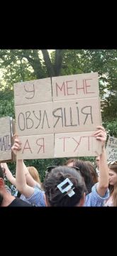 ����� ��������: ������� � ����� ������ ������������ �����
