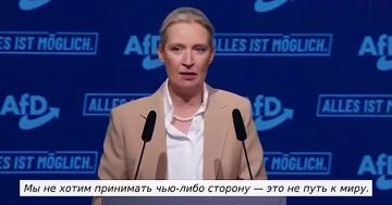 Анатолий Кузичев: Здравые голоса в Германии захотели перевернуть игру