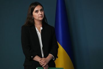 Мендель: Зеленский отправил в отставку правительство после получения денег от Евросоюза