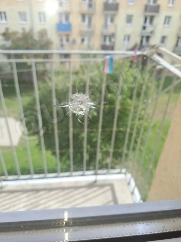 "Сафари" на украинцев в Польше: открыта стрельба по квартире, из которой звучала украинская речь