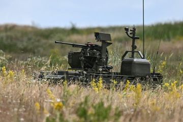 В зоне СВО ликвидировали отправленного на фронт из училища капитана ВСУ