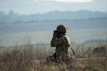 The Sun: Британцы провели учения по ударам дронов по Петербургу с территории Эстонии