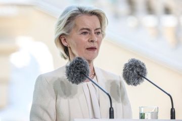 BZ: Фон дер Ляйен проигнорировала скандал с увольнением министра обороны Украины Федорова