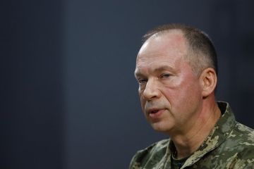 Олейник: Сырского после отставки отправят послом в небольшую страну