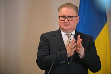 Бортник: За скандалом с Федоровым на Украине пропустили отставку вице-премьера Качки