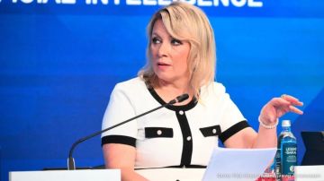 Мария Захарова иронично прокомментировала смену главкома ВСУ и отставку Михаила Фёдорова