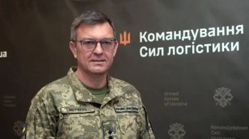 Командование сил логистики ВСУ обвинило Федорова в проблемах с обеспечением ВСУ, а затем спешно удалило публикацию