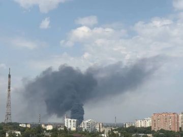 Владислав Шурыгин: Новости «Черноморской инициативы»