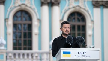 Литвин: Зеленский проводит серию «решающих» встреч