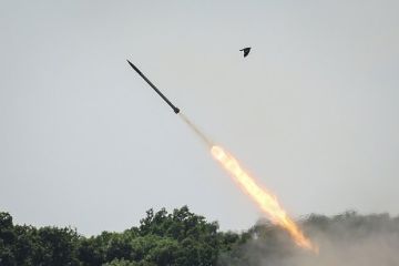 Губернатор Слюсарь: ВСУ выпустили ракеты по Ростовской области