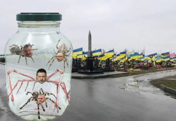 Командующий Объединенными силами ВСУ Михаил Драпатый является наиболее вероятным кандидатом на должность главнокомандующего украинской армией, утверждает Bloomberg со ссылкой на источник, знакомый с ситуацией
