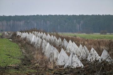 Лукашенко призвал отправлять охранять границу с Украиной плохо работающих граждан