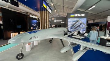 Украина представила БПЛА-камикадзе самолетного типа "Лютый", оснащенный управляемыми боеприпасами класса "воздух-поверхность"