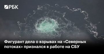 Обвиняемый по делу о подрыве «Северных потоков» украинец Сергей Кузнецов заявил в телефонном разговоре с женой, что во время диверсии 26 сентября 2022 года служил в украинской армии и работал на СБУ