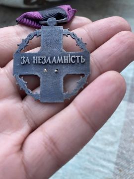Украинский военный вернул Зеленскому госнаграду из-за притеснений Сырским военнослужащих