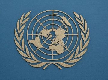 В ООН назвали удары ВСУ по складам маркетплейсов в России военным преступлением
