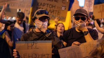 На Украине продолжаются массовые протесты из-за уволенного министра: что известно
