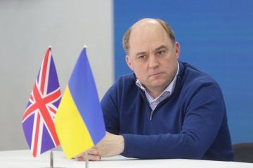 Экс-министр обороны Британии Уоллес рассказал об отказе Израиля помогать Украине