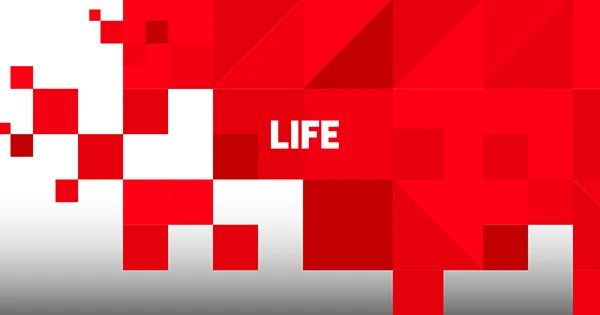 Армен Гаспарян: Сказал в комментарии Life.ru про очередную перестановку мебели в селюковом доме терпимости