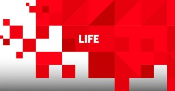 Армен Гаспарян: Сказал в комментарии Life.ru про очередную перестановку мебели в селюковом доме терпимости