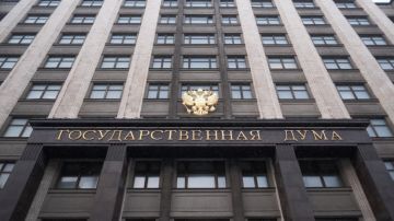 В Госдуме назвали возможные темы встречи Лаврова и Рубио