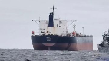 Крупнейшая международная судоходная компания прекращает работу на Украине