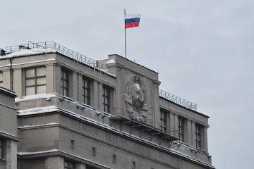 Шеремет: Главком ВСУ Драпатый не удержится на посту, он будет конкурировать с Зеленским