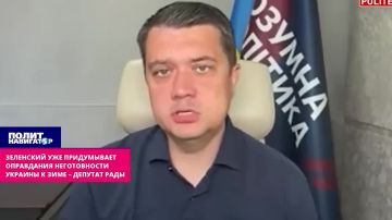 Зеленский нашёл оправдание неготовности Украины к зиме – депутат Рады