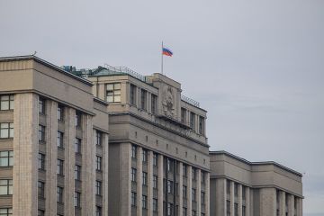 Депутат Чепа счел нацизмом заявление главкома ВСУ Драпатого о россиянах