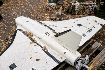 �����������: �� ������ ���������� ����� �������� ��� ���������� �������� ���������