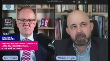 «Очень опасное место»: Украина превращается в «европейскую Мексику» – польский историк