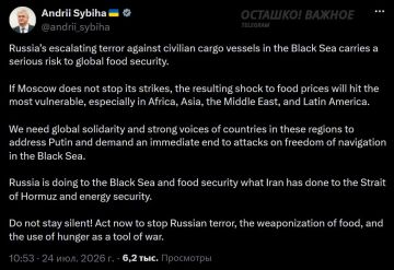 «Не молчите!»: глава МИД Украины под страхом голода призывает Африку заставить Россию перестать атаковать суда в Чёрном море