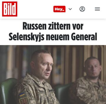 �������� ������ �� ������ �������� ���������� � Bild