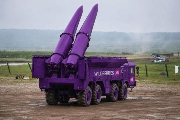 Сергей Мардан: ЧВК «Ястребы Wilderries» должна создать Татьяна Ким и уничтожить половину Киева — депутат Милонов