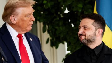 Общественное: Зеленский встретится с Трампом на следующей неделе