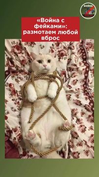 �������� ���� ��� ������, � �� ��� ����� �����, ��� ����������� �����? ������������ �� ������ � ������� � ������� �������������� ����� ������.